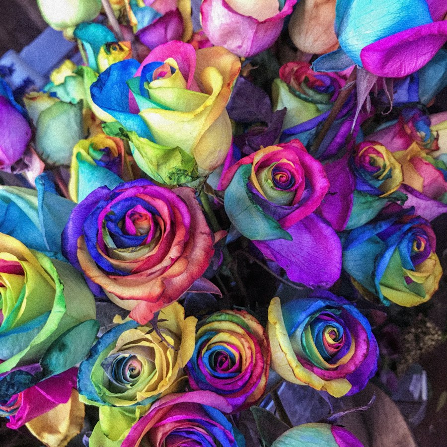 Rosas Arcoíris