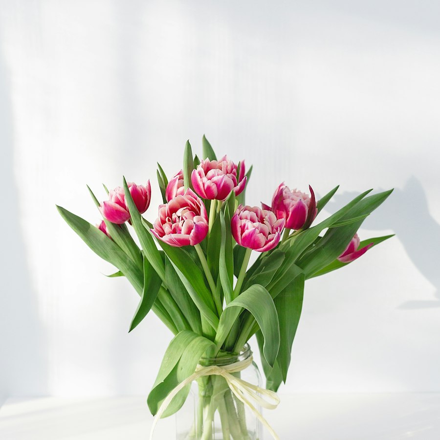Tulipanes Rosados
